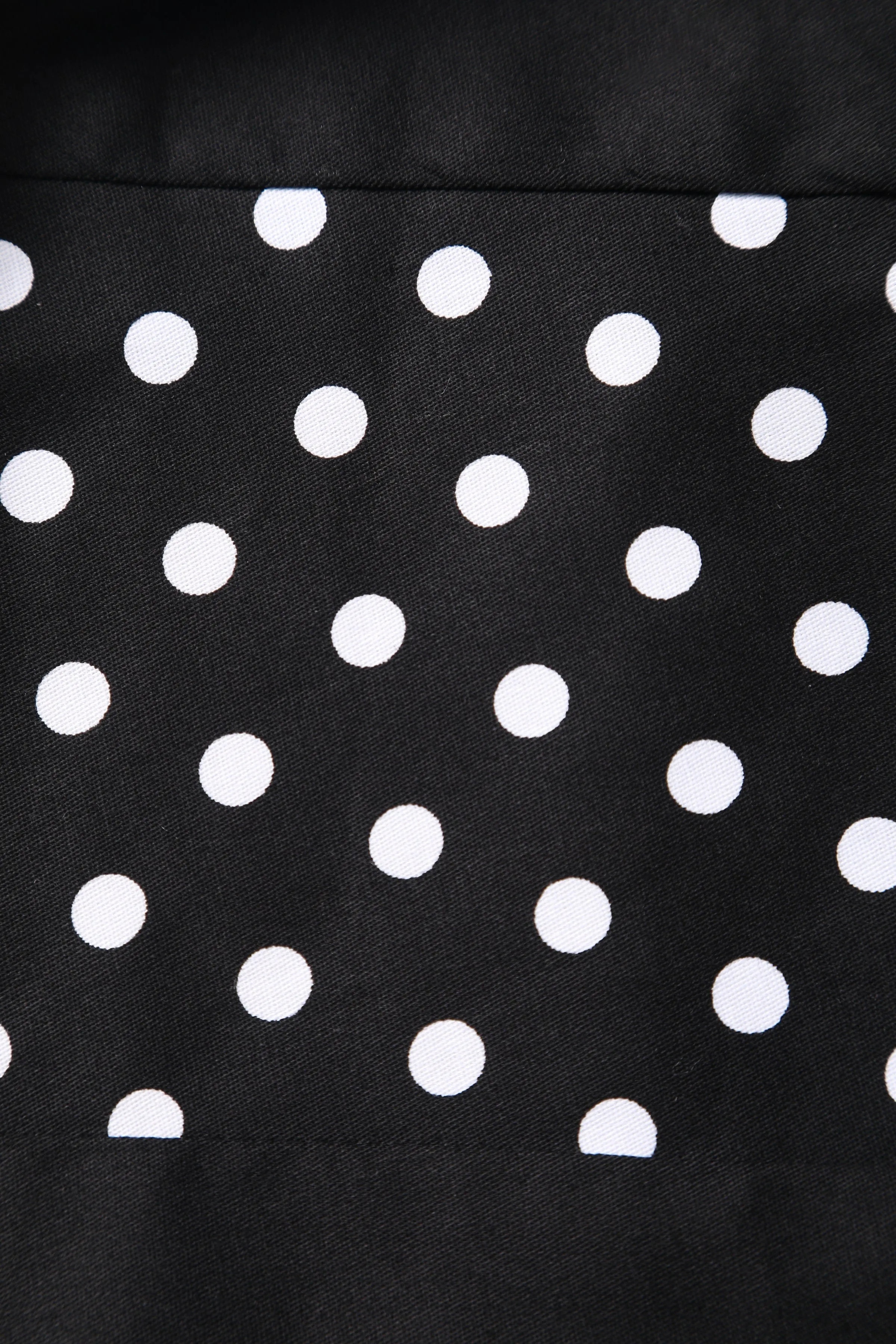 Annie Retro Black Polka Dot Panel Swing Dress