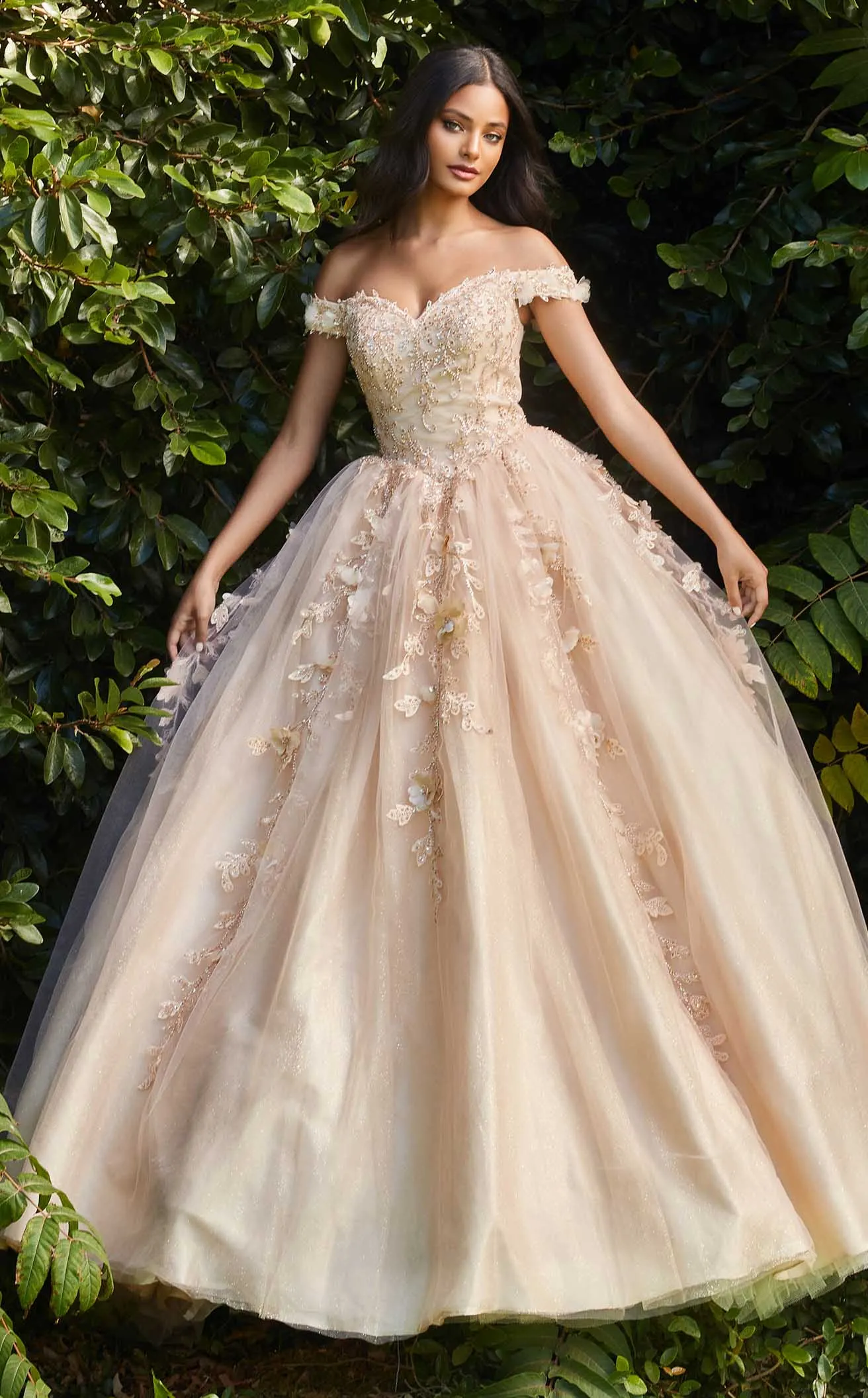 Cinderella Divine CD0185 Dress