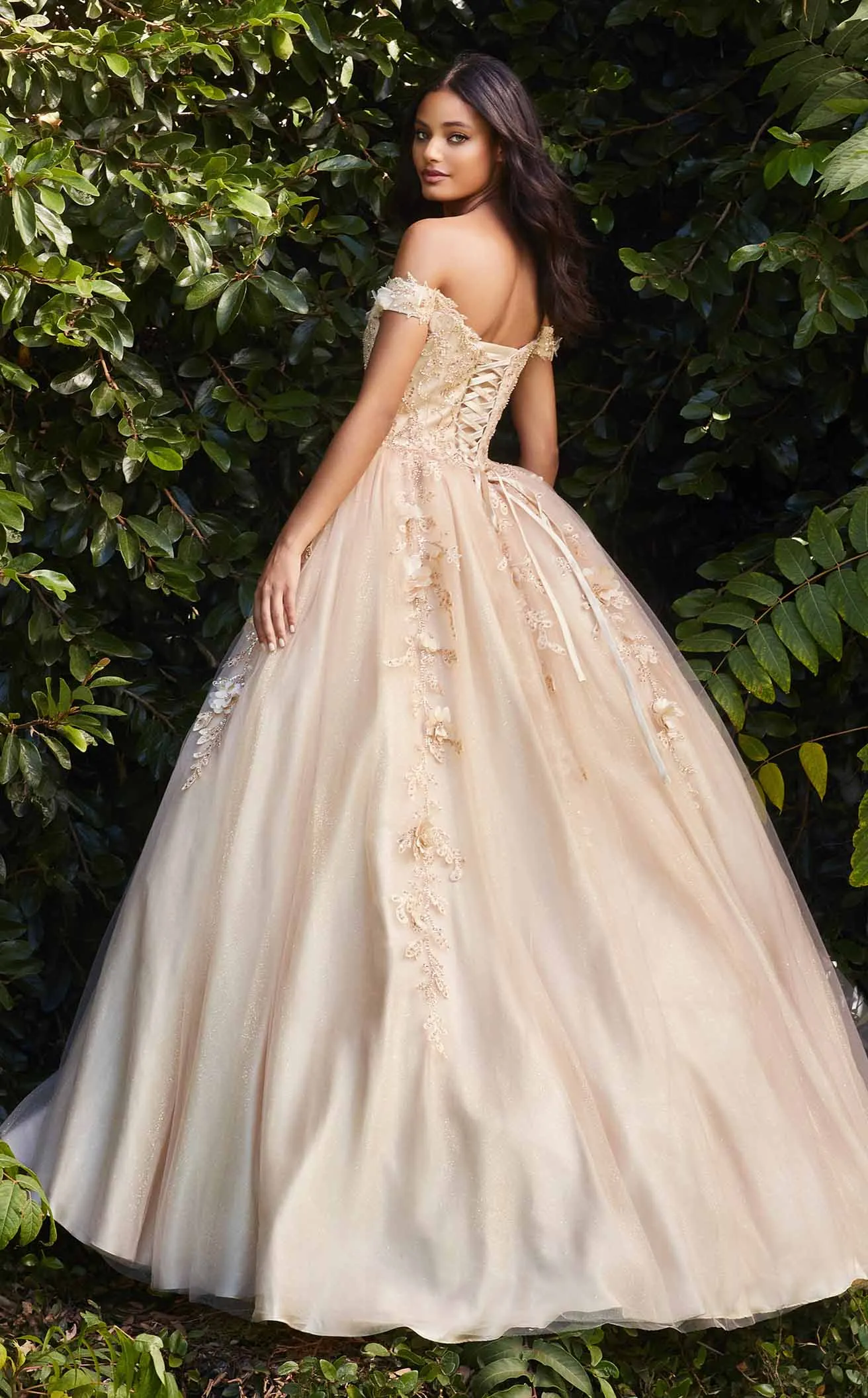 Cinderella Divine CD0185 Dress